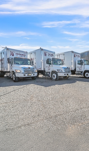 Deliveries & Express Shipping